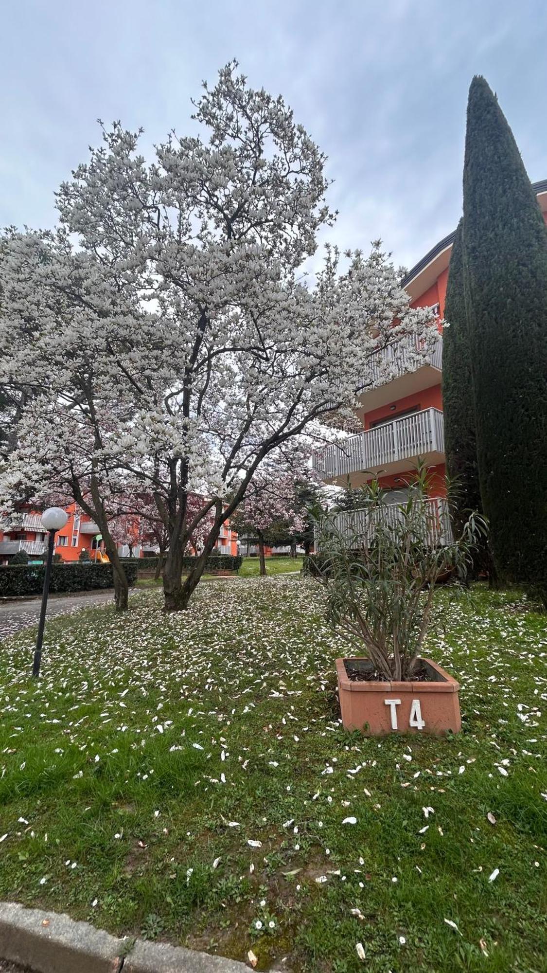 Appartamento Prestige Garda - Ai Cappuccini Peschiera del Garda
